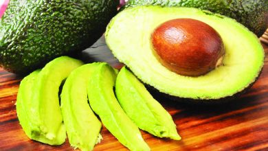 vertus de l’avocat