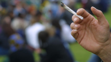 Photo de Fumer du cannabis à l’adolescence nuirait aux facultés intellectuelles