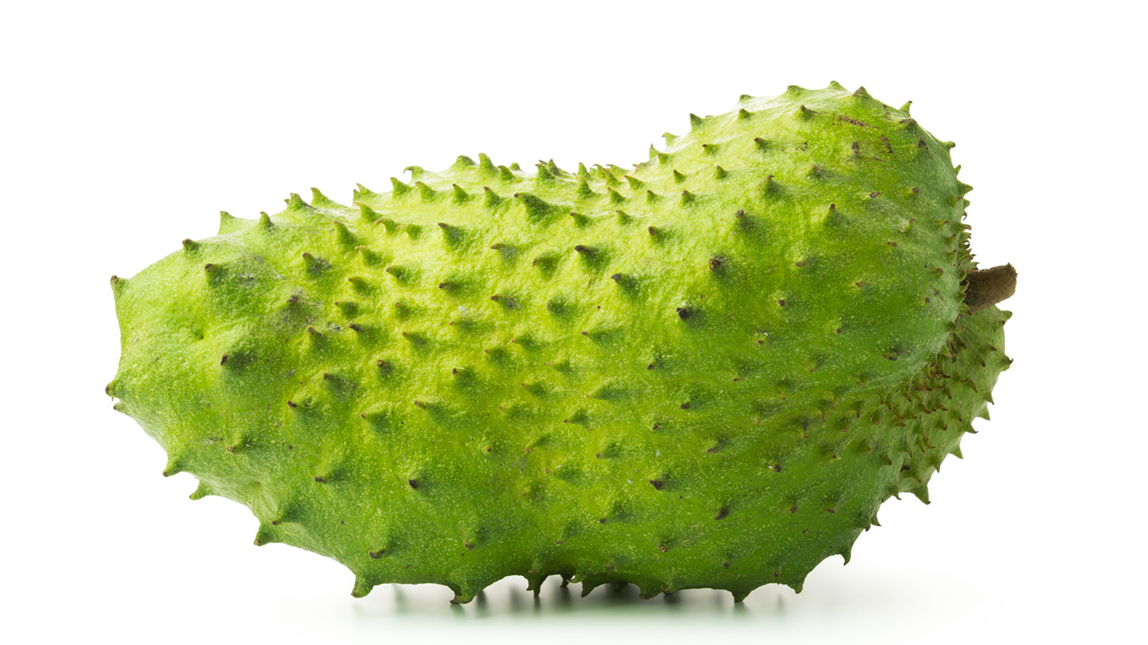 Témoignage De Guérisons Du Cancer Par Les Feuilles De Corossol Le corossol : un fruit connu pour sa haute teneur en oligo-éléments et  vitamines • Défi Santé