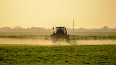 le glyphosate augmenterait le risque de certains cancers de plus de 40%
