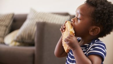 snacking-large-variete-enfant-grignotage