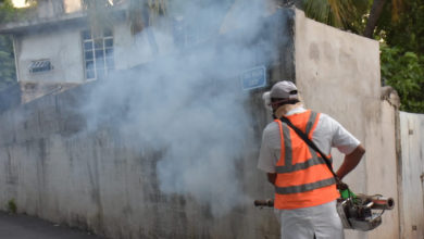 Fumigation