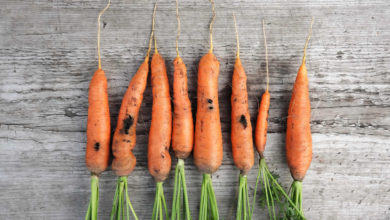 Photo of Mangez de la carotte… pour être aimable, mais aussi pour votre système immunitaire !