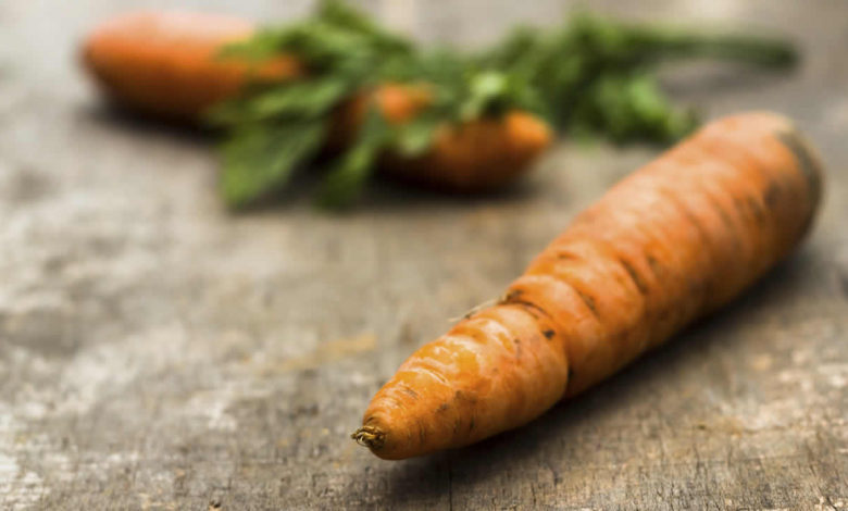 carotte